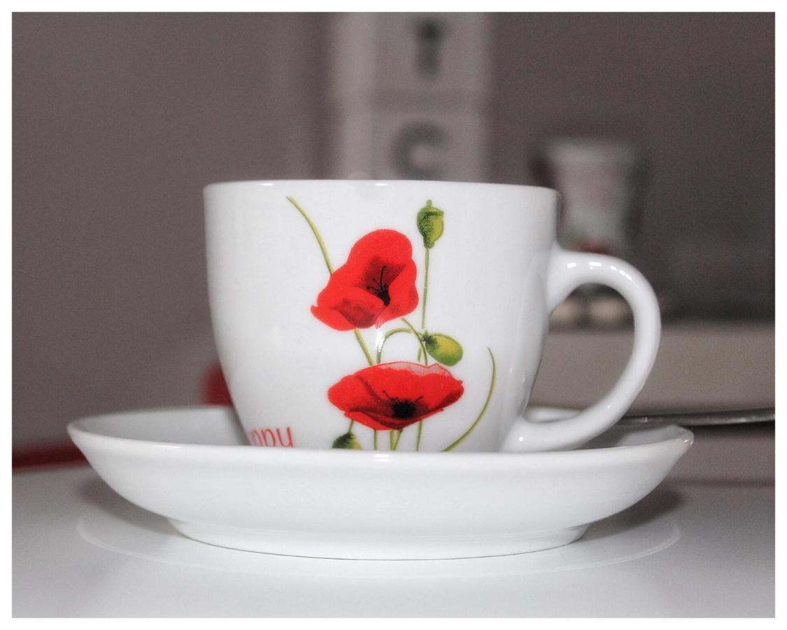 Apartamento Flanders Fields Dingwall Exterior foto