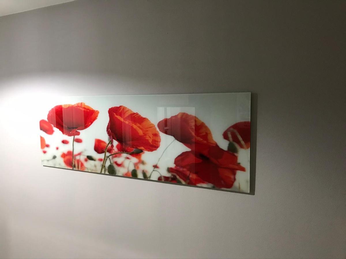 Apartamento Flanders Fields Dingwall Exterior foto